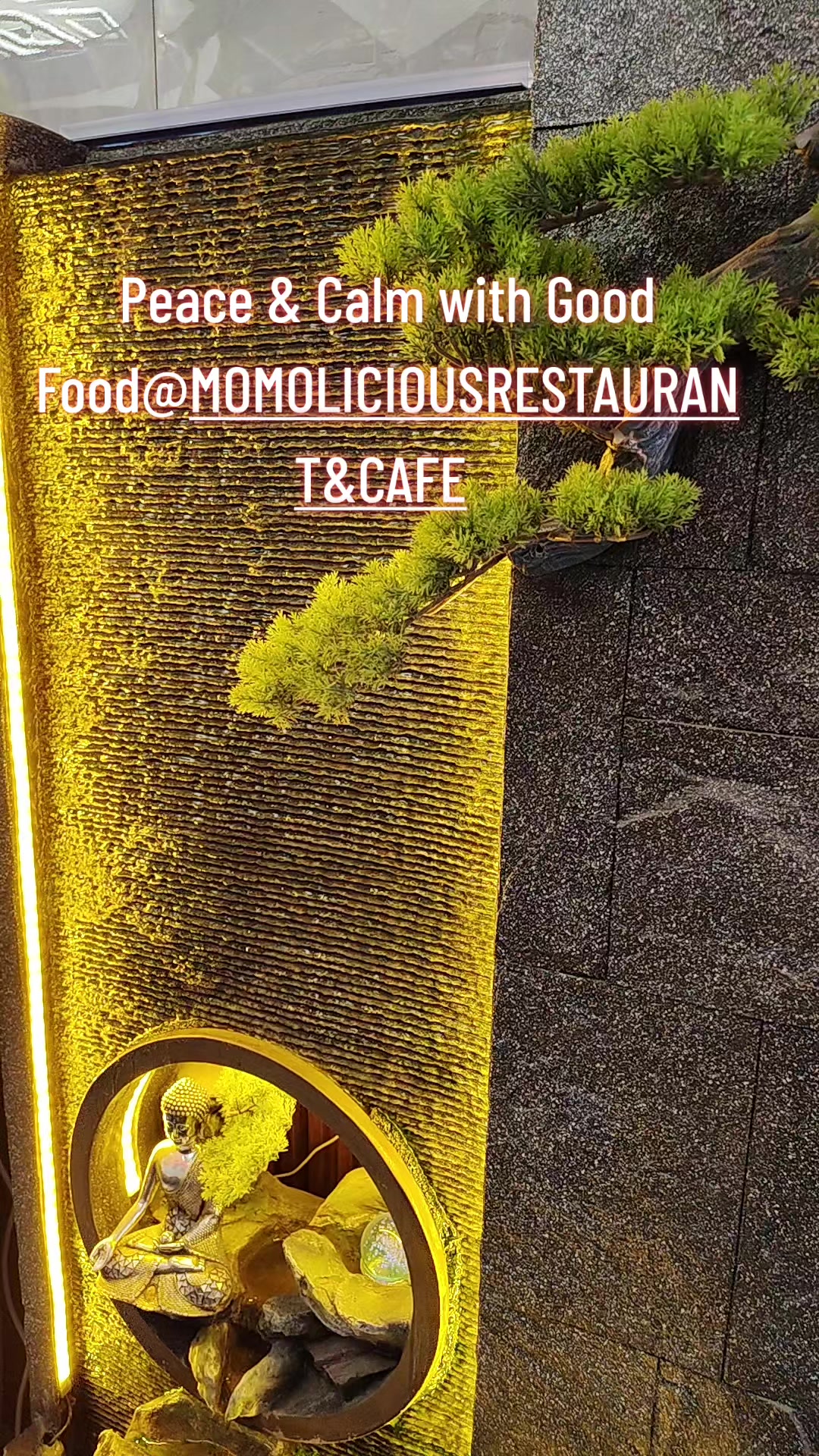 @MOMO LICIOUS RESTAURANT & CAFE
