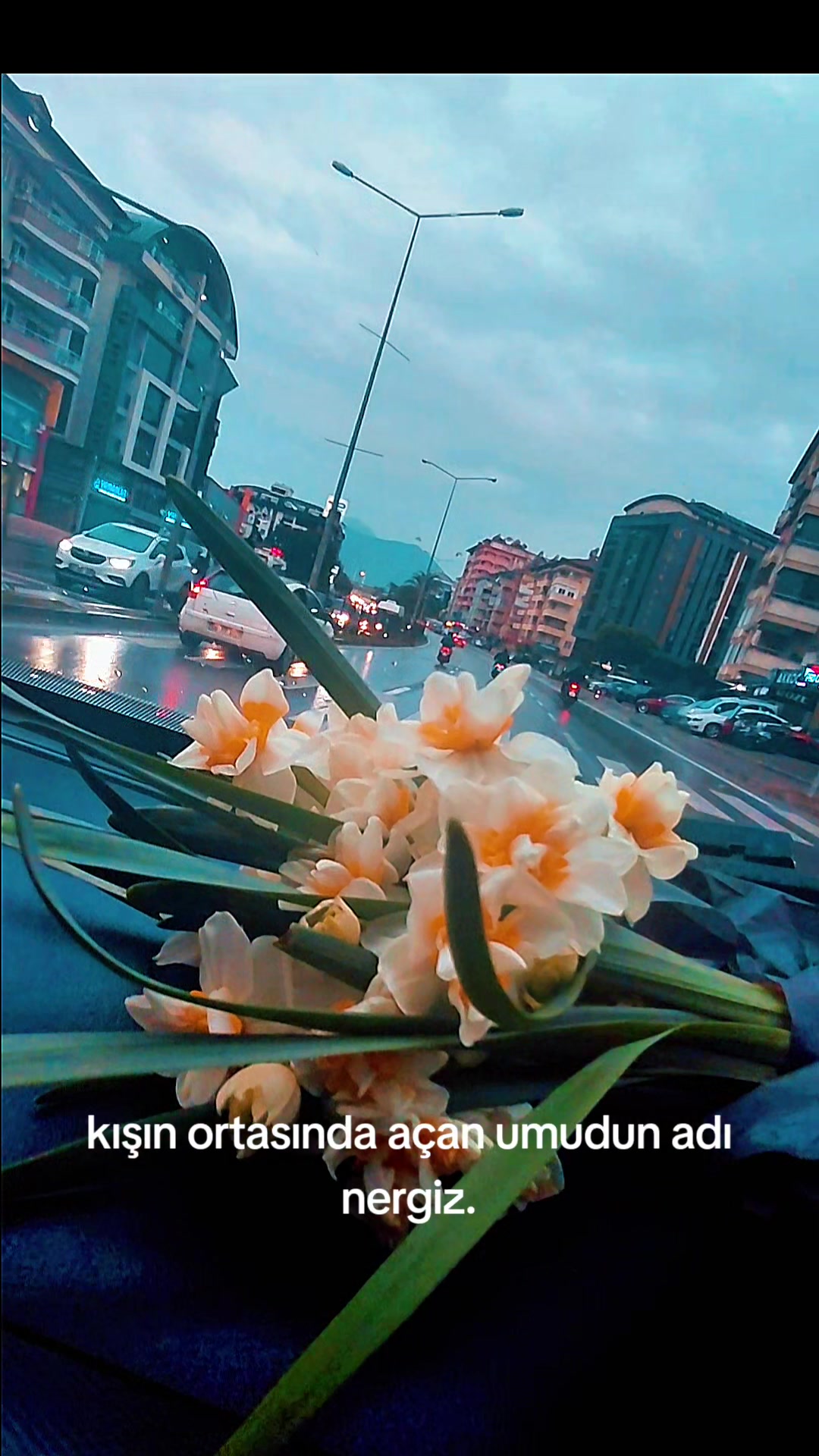 @aslıhnarass