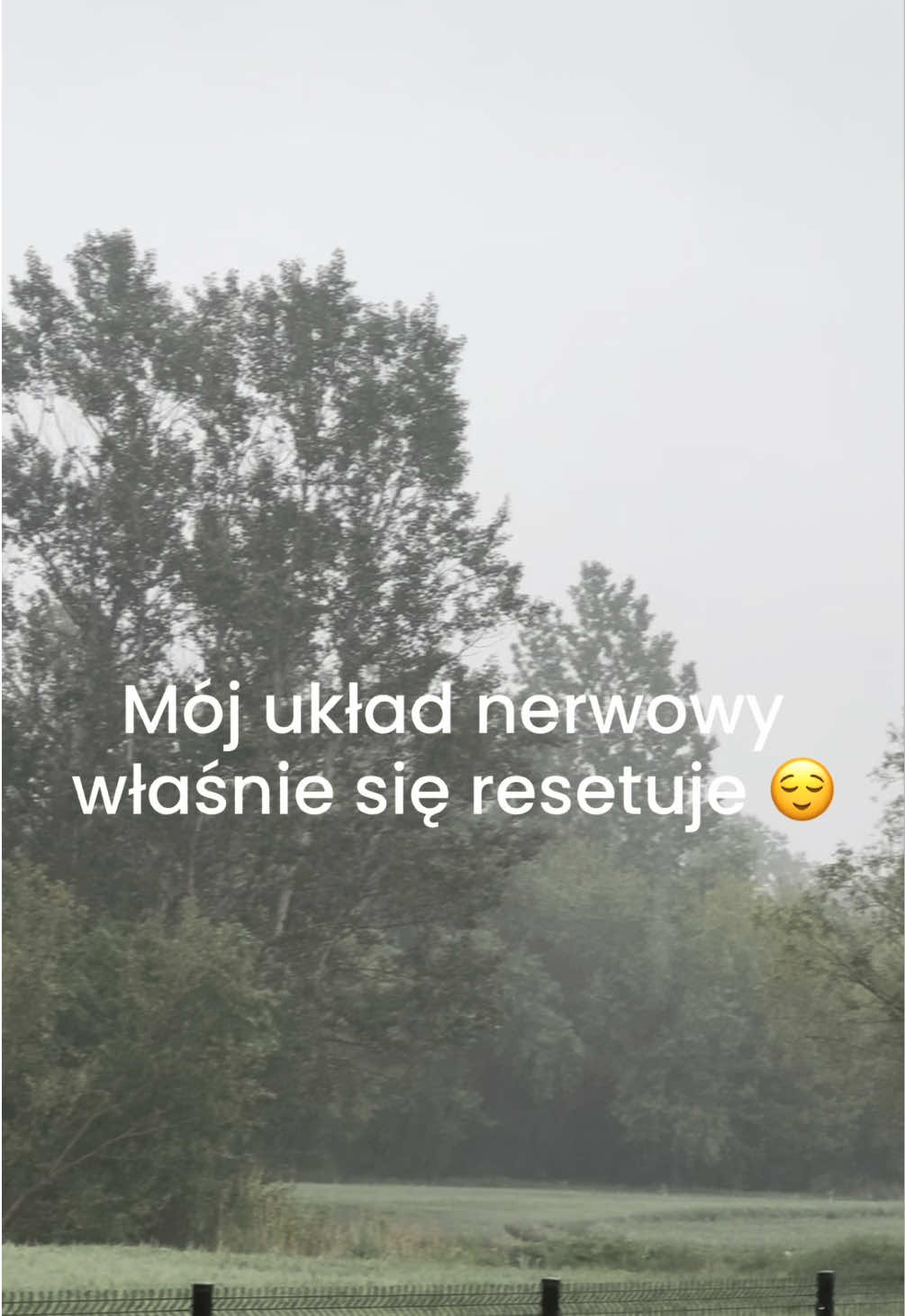 @healwithania