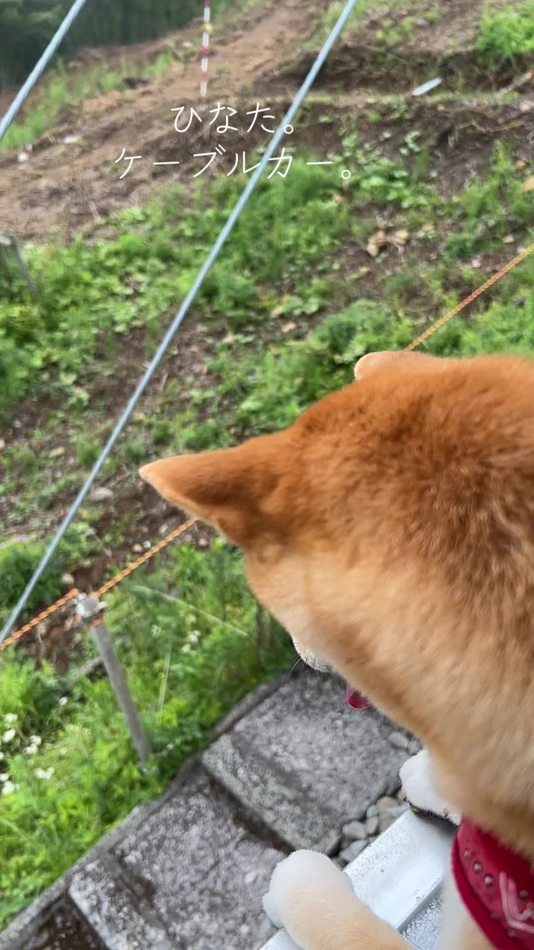 @ひでぽともぽ