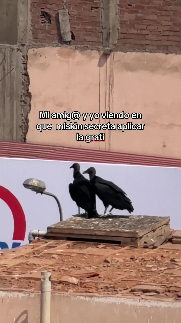 @Rubén Muñoz