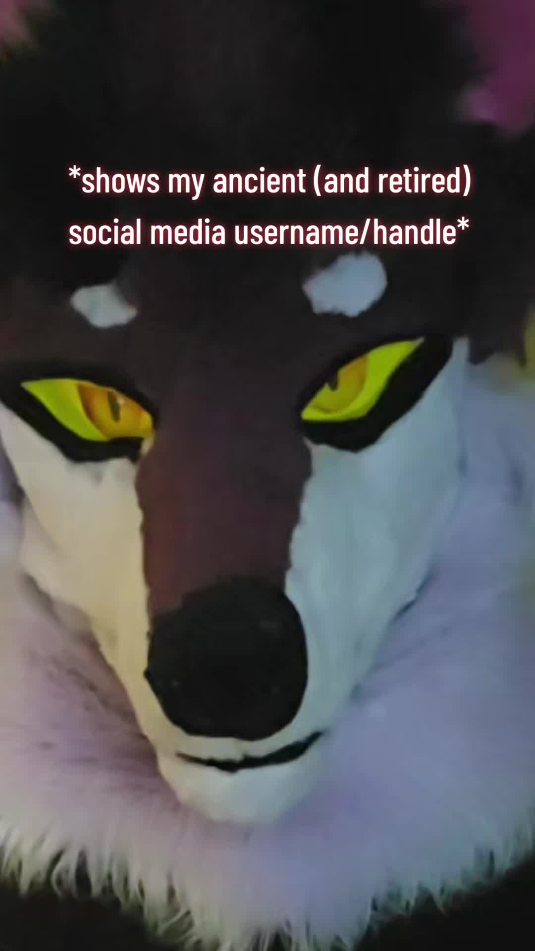 @Neo