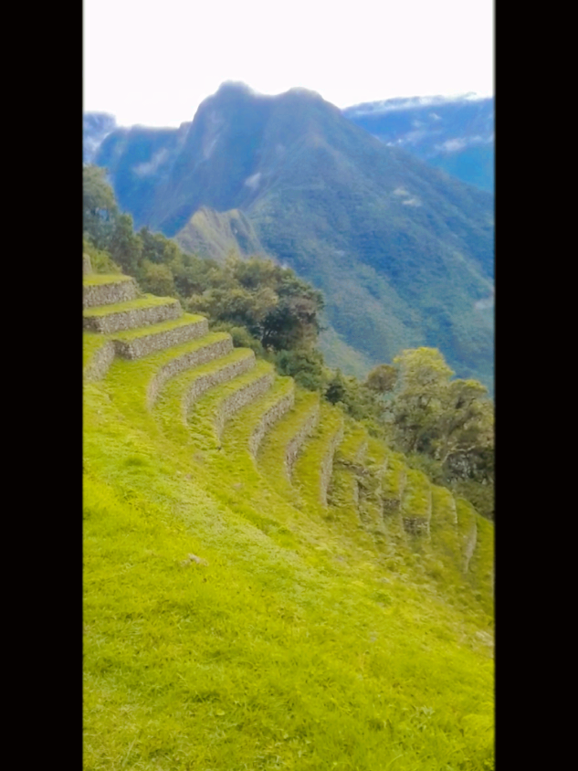 @Juanca Barraza