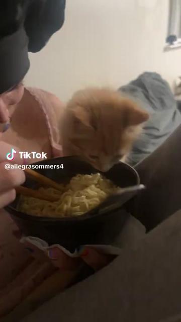 @Katelynn