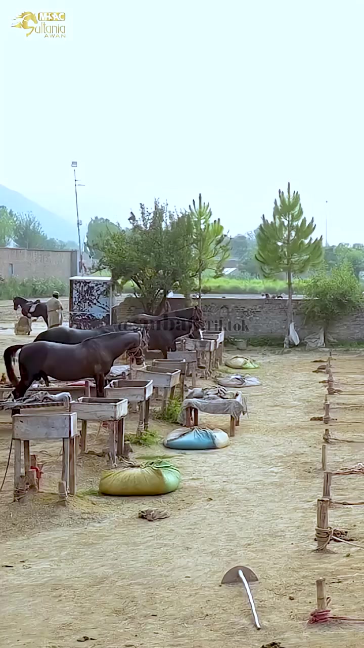 @baljindeikaur