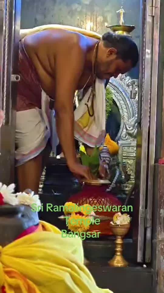 @user382545612451amrita