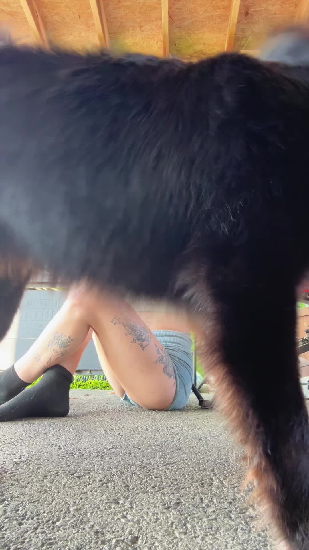 @_shaniatok_