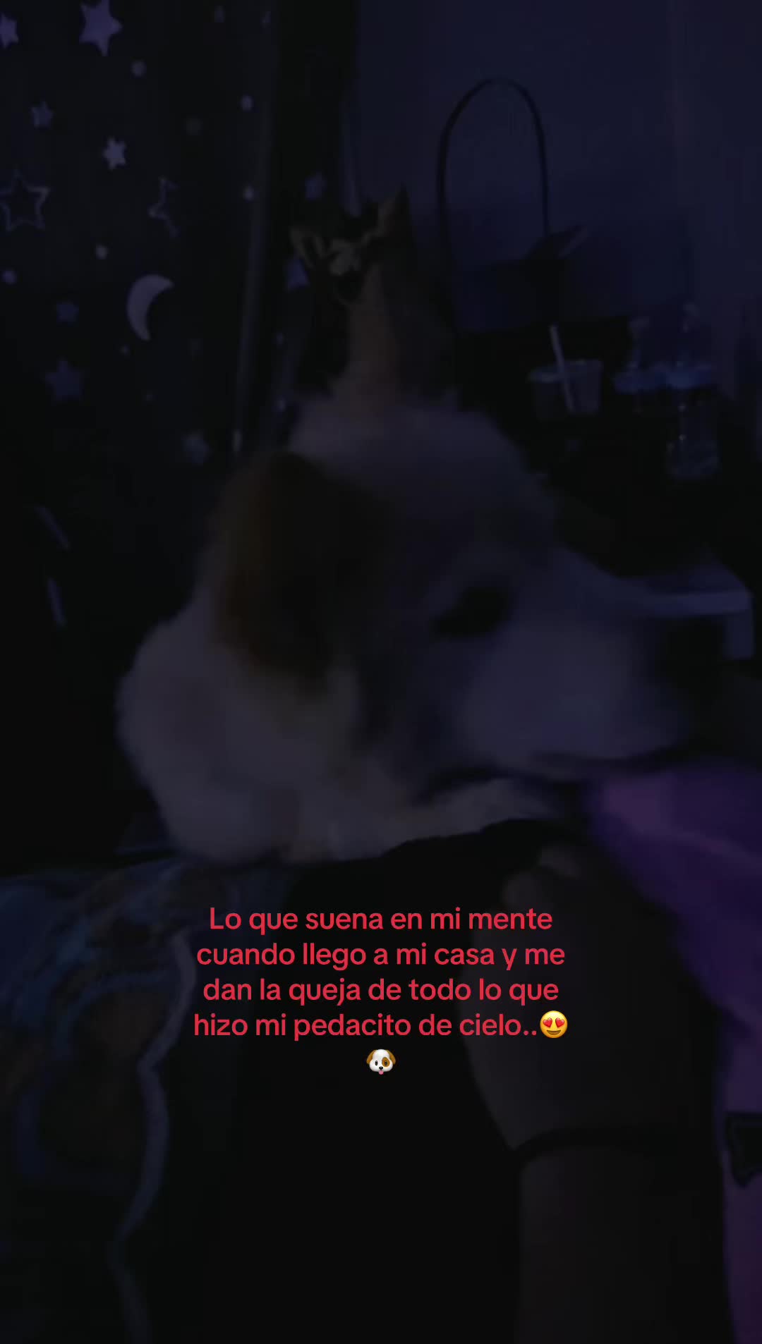 @🦋Maye_Martinez🦋