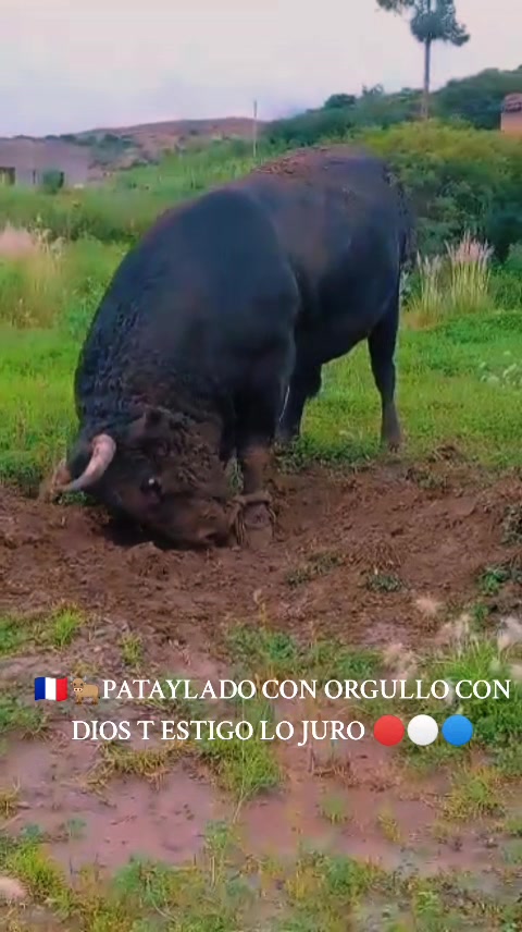 @WILIAM☘️🫥🇫🇷