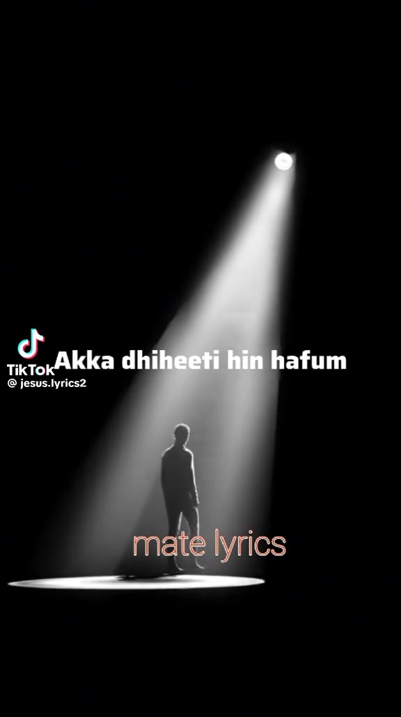 @zediko@🎵🎵🎵🎵🎵