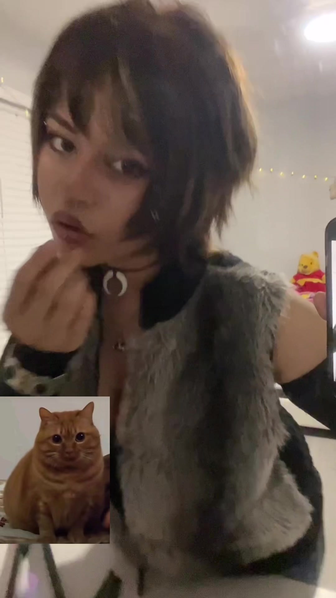 @sealpear
