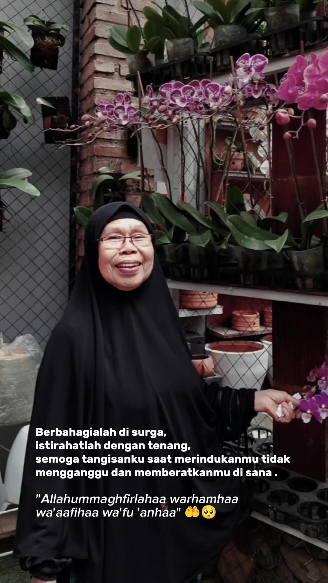 @Anita OlShop