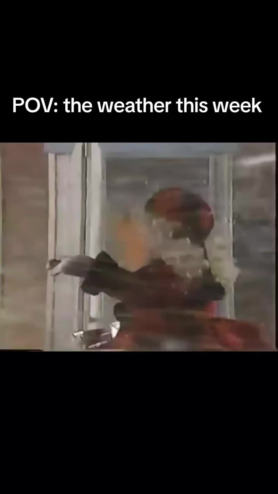 @muppetguy05