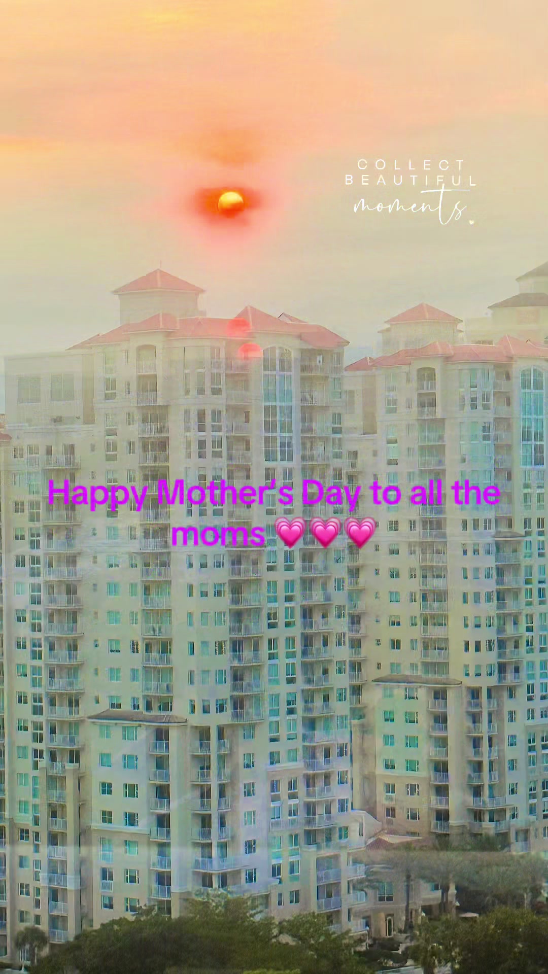 @Ann🌹