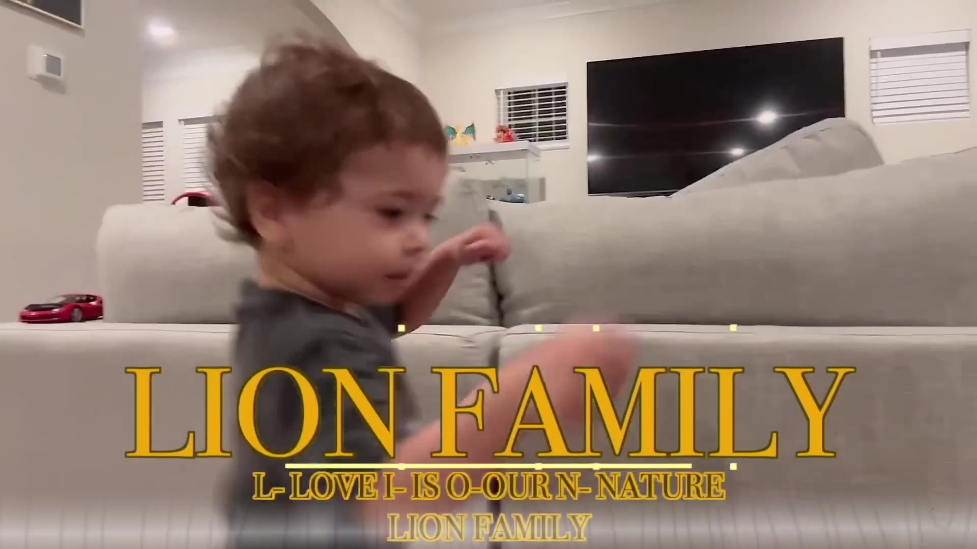 @The Lion Family