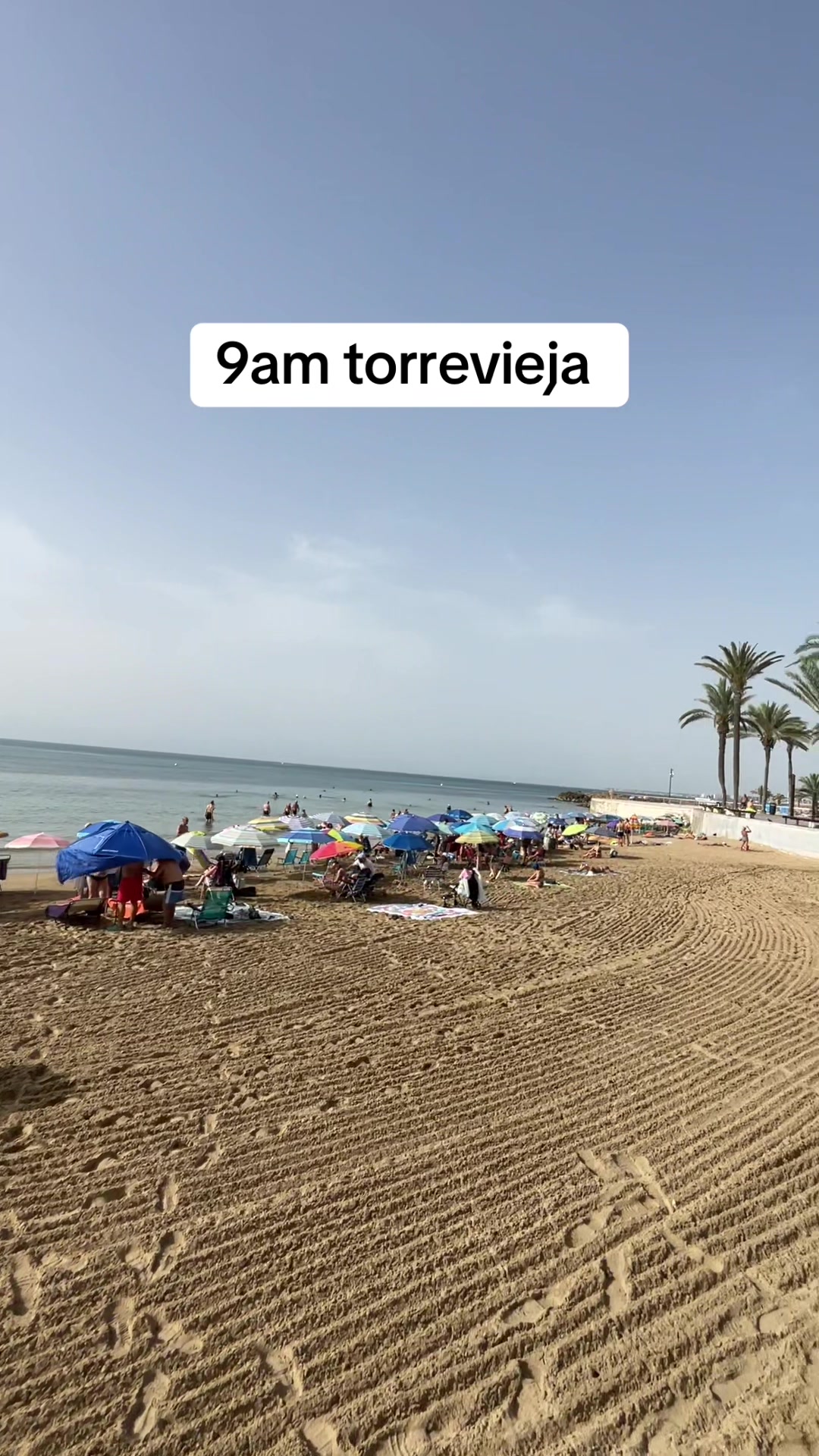 @Paradise