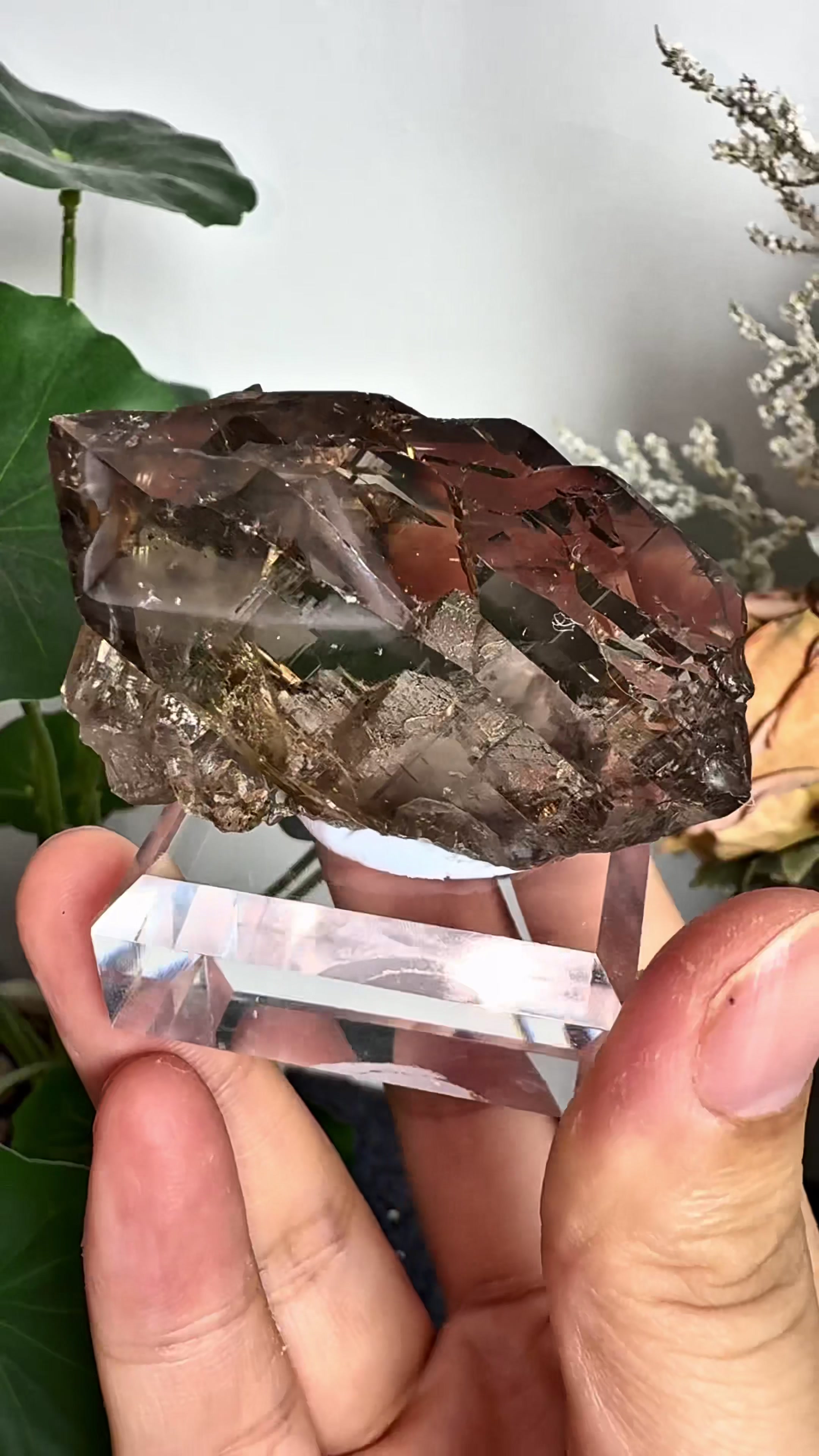 @Cherished Minerals
