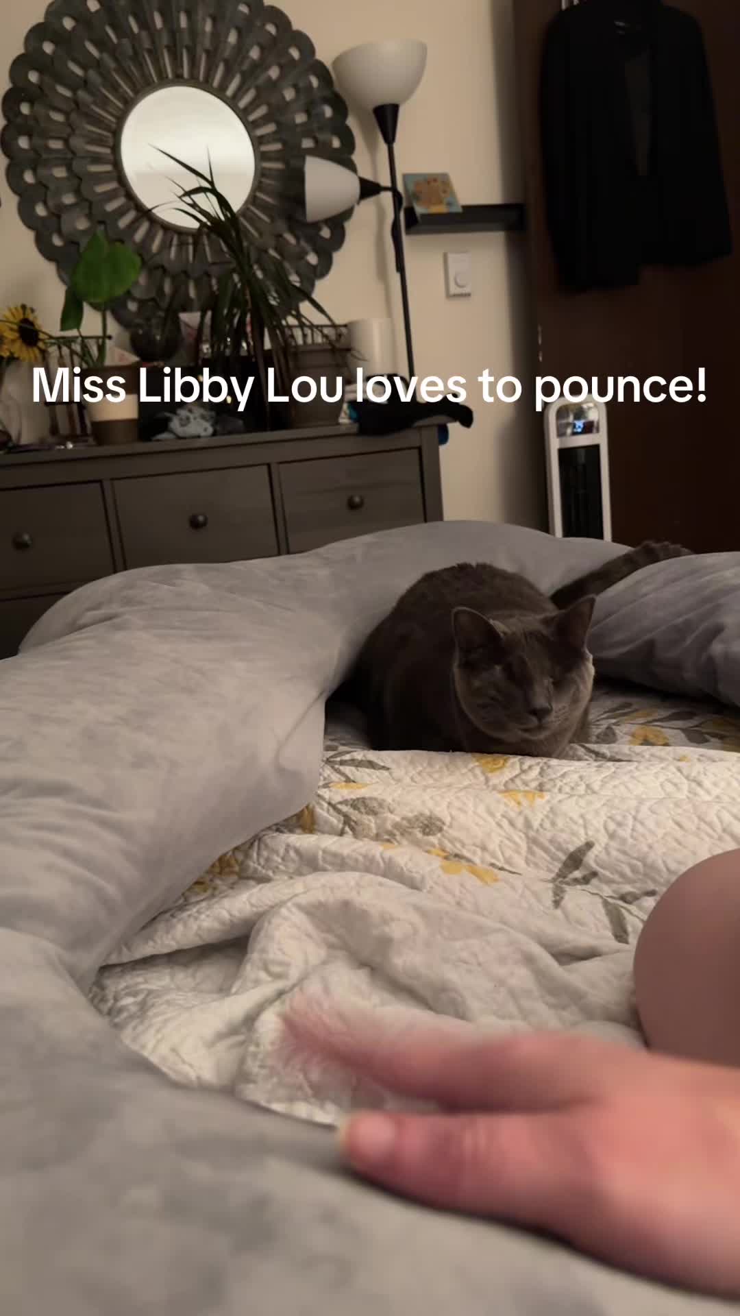 @my2blindcats