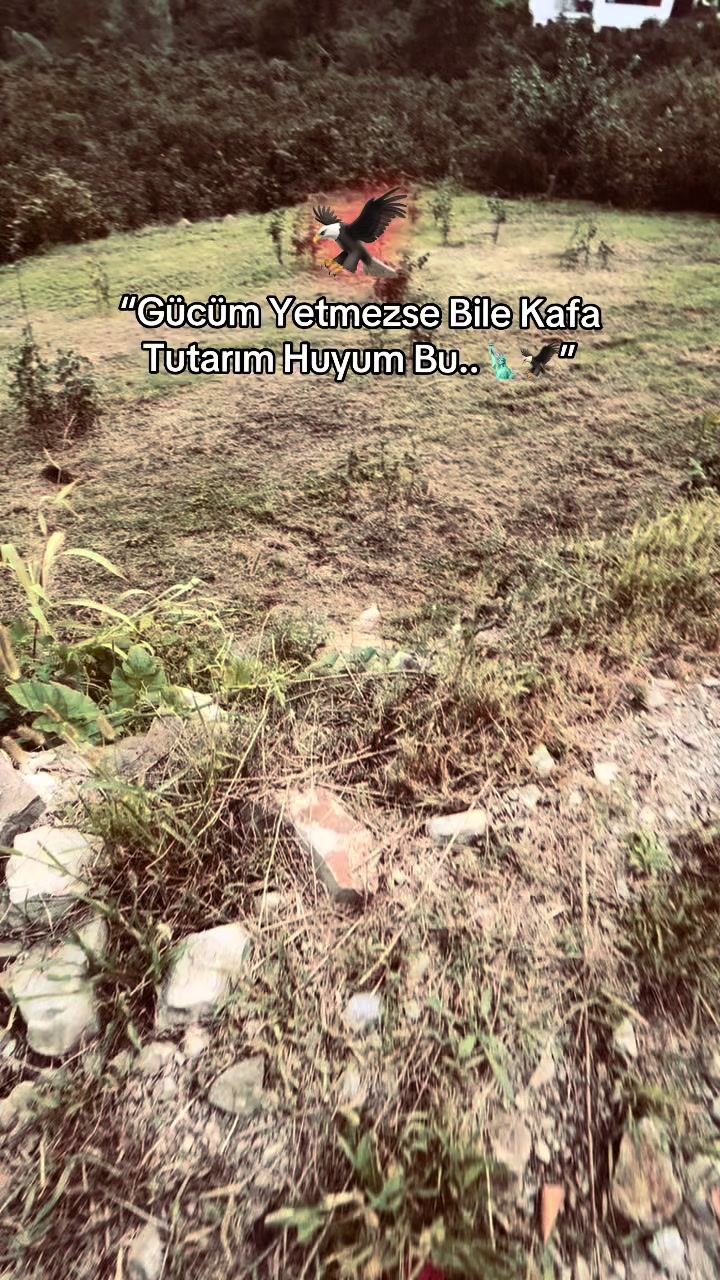 @💦CaNn YuSuF💦
