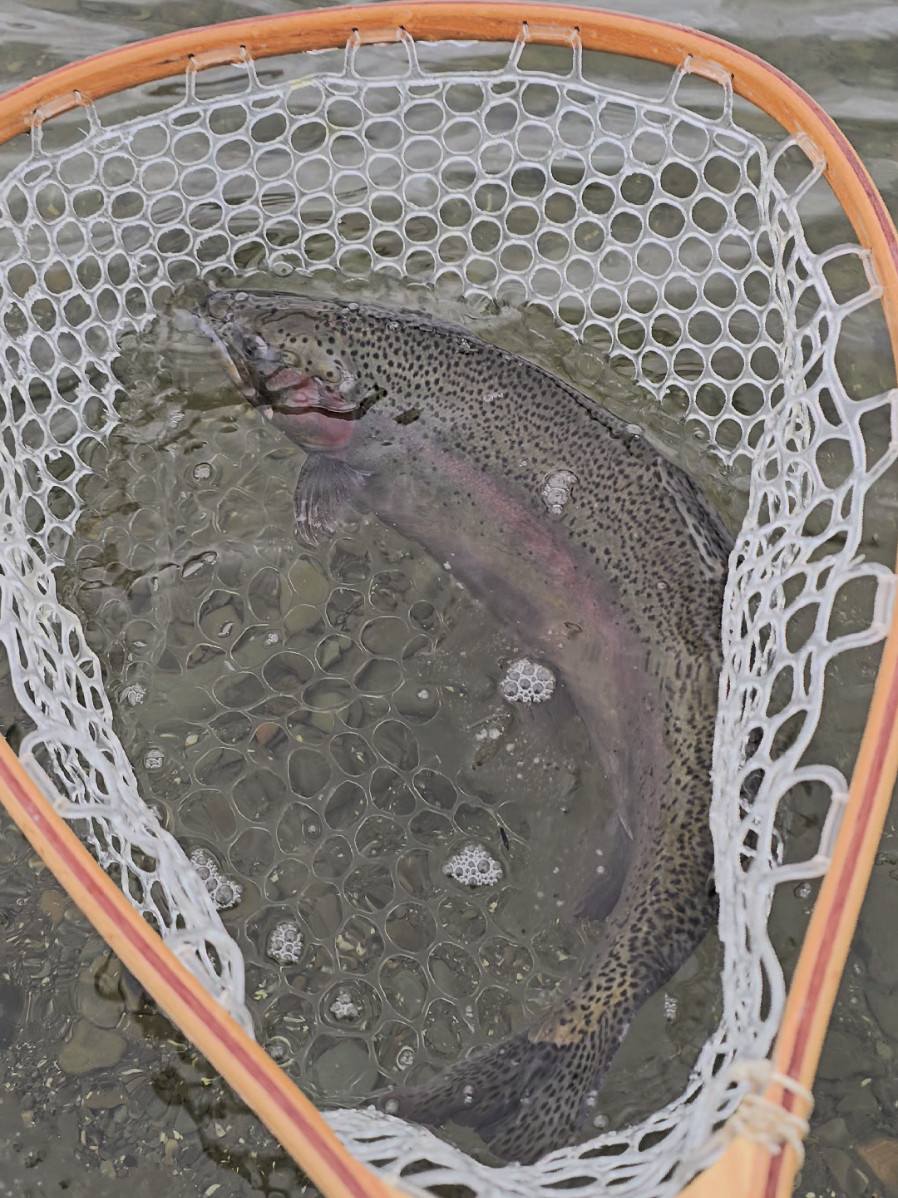 @the360angler