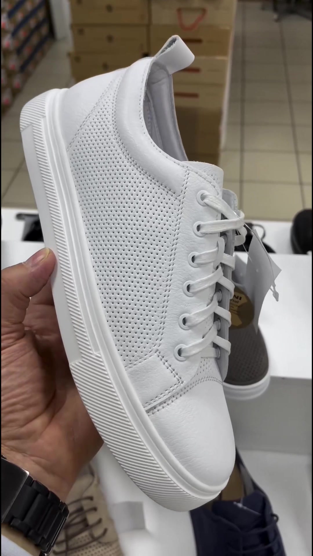 @Whitelion.shoes