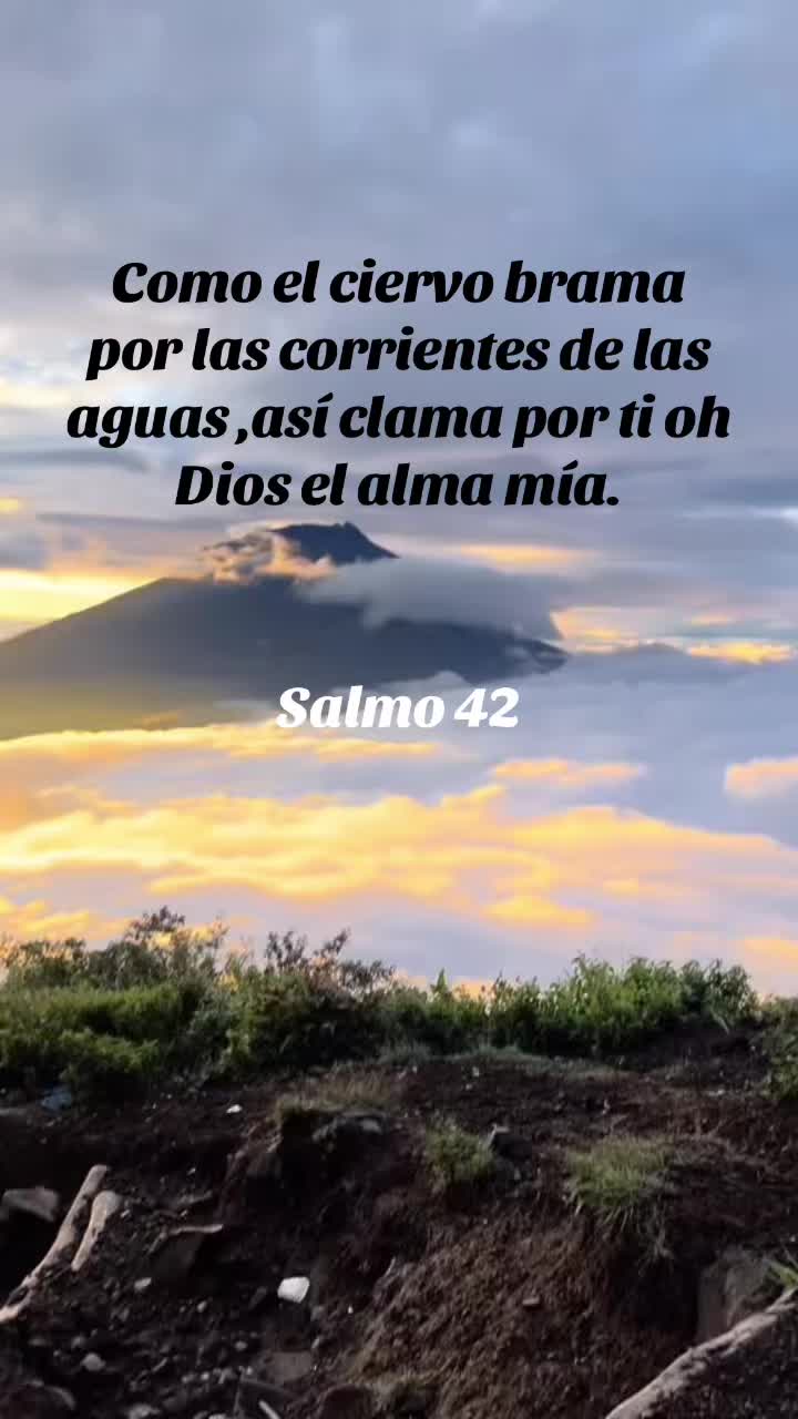 @Ch&aacute;vezmary