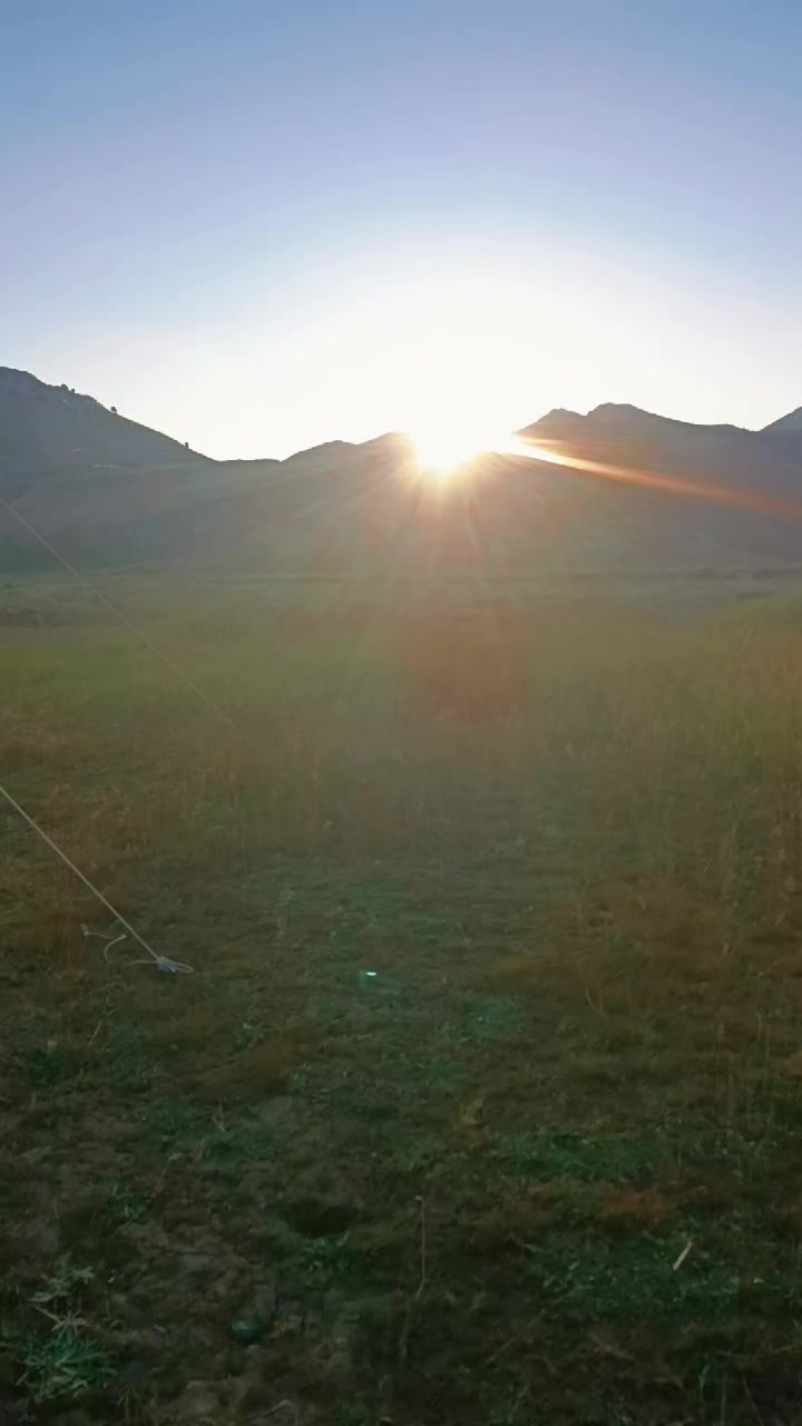 @DAĞCI.46
