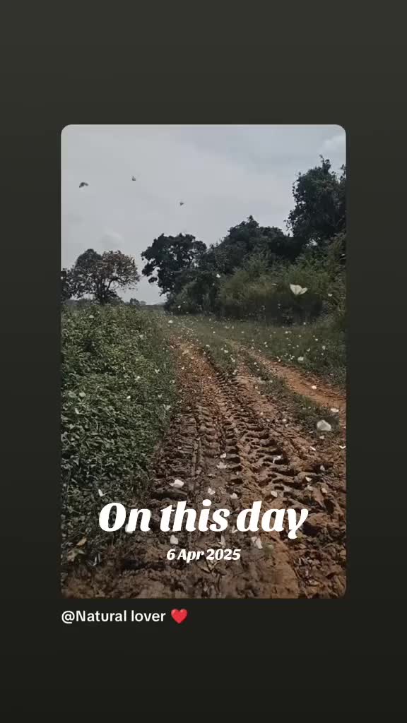 @Piriya@riya