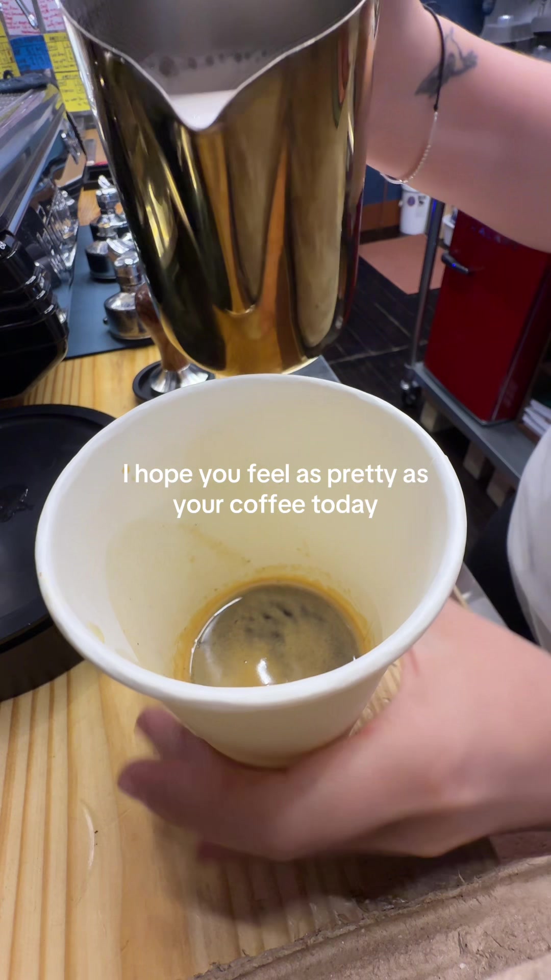 @haleywilson