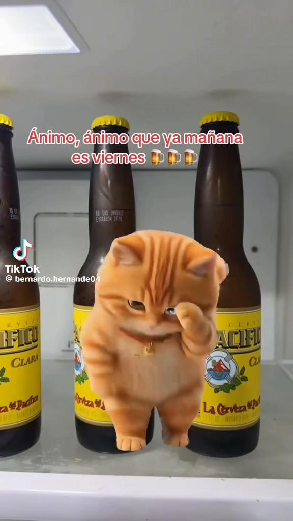 @johannagonzalez595