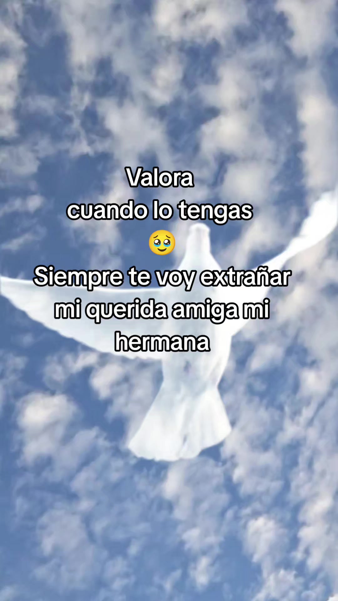 @Dalia Vicente Hern&aacute;ndez