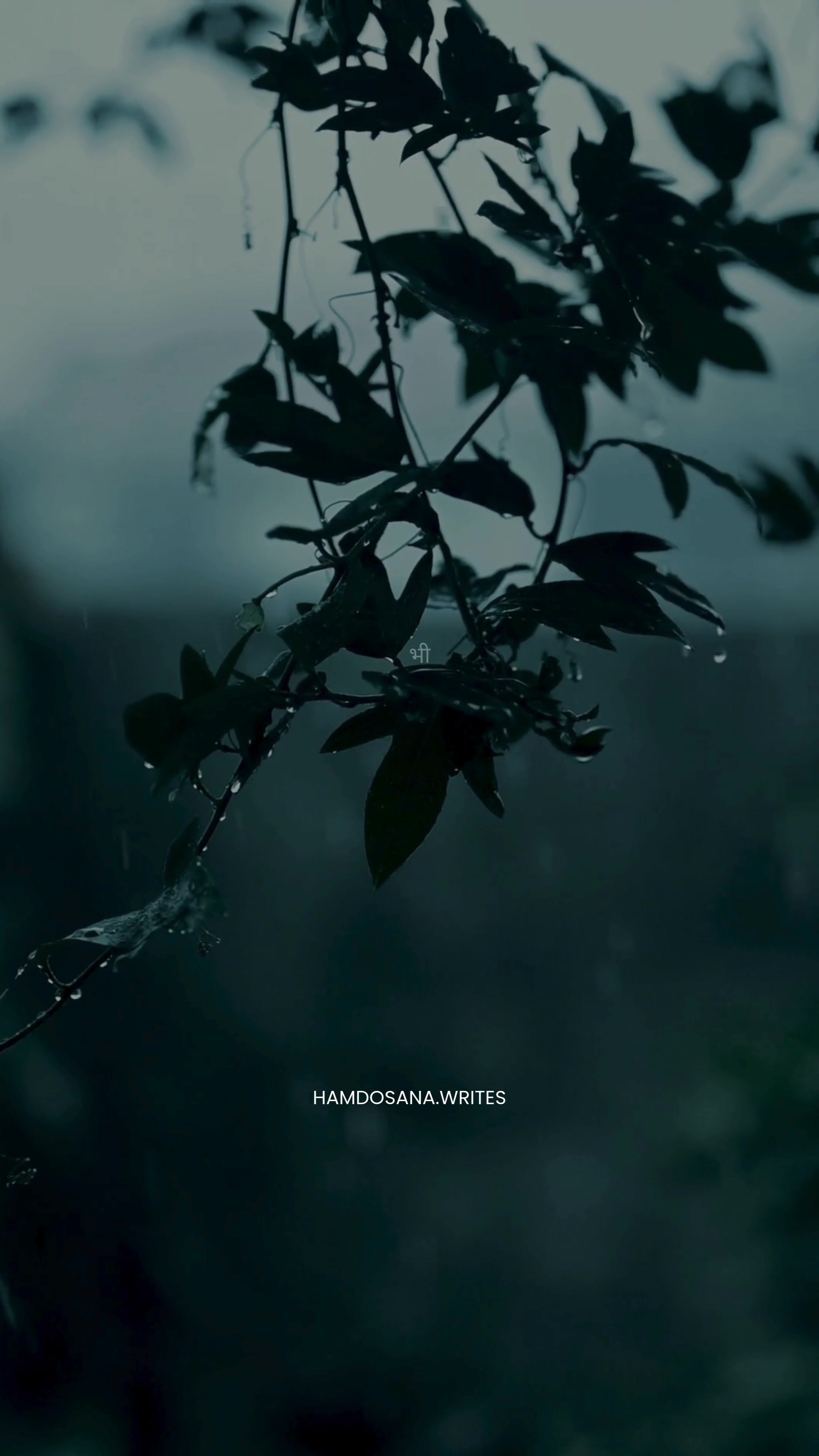 @hamdosana.writes