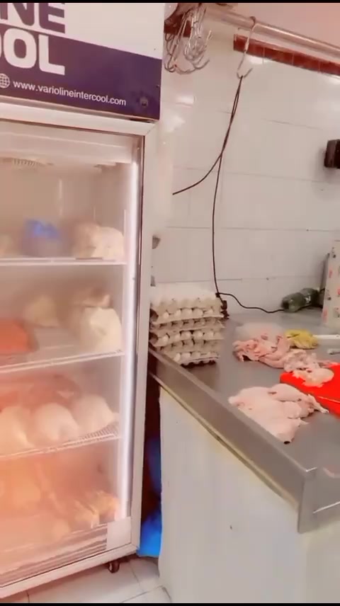 @اسد علوی 👑