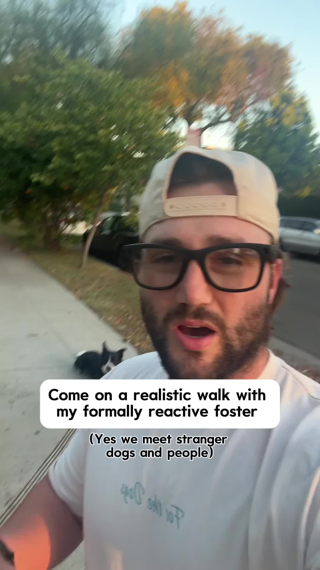 @forthedogs