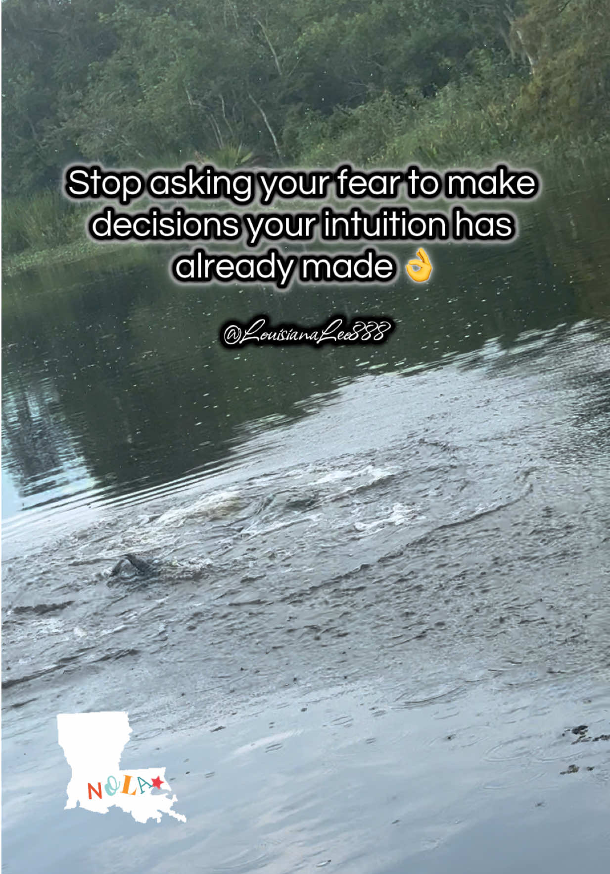@louisianaleo888