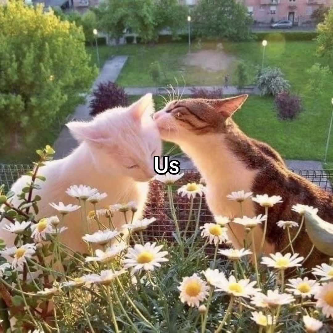 @cupcake