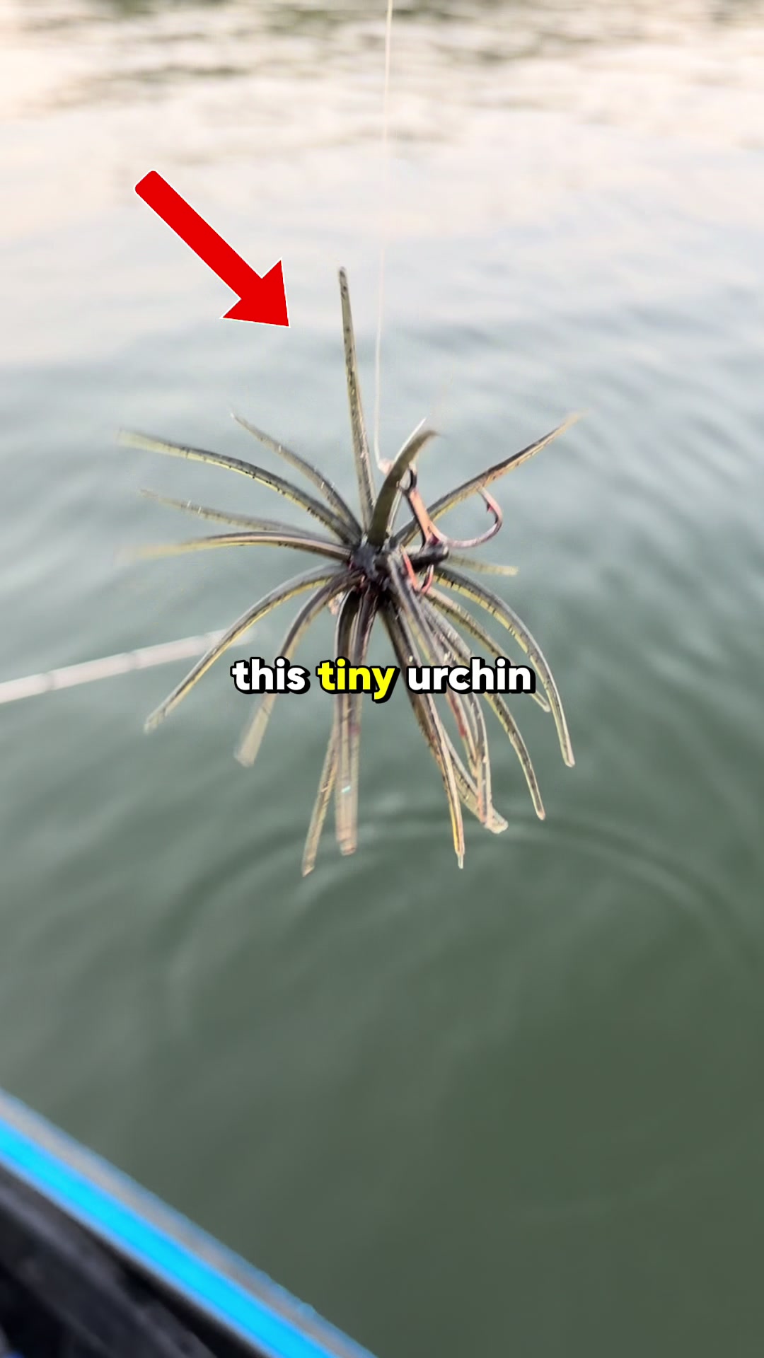 @trk.fishing