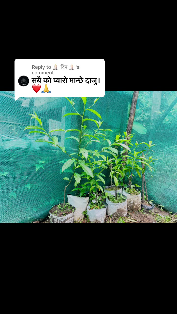 @नखावा कृषि(Nakhawa Krishi)