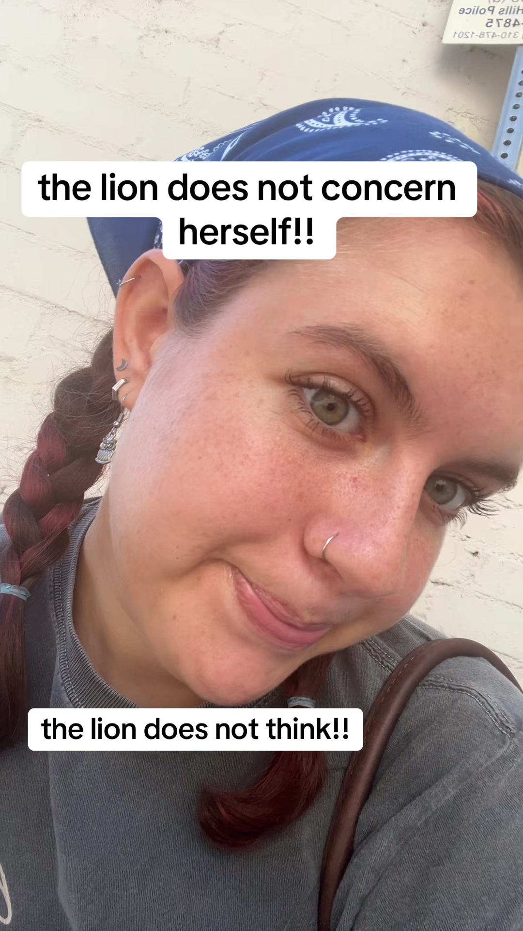 @lilygneal