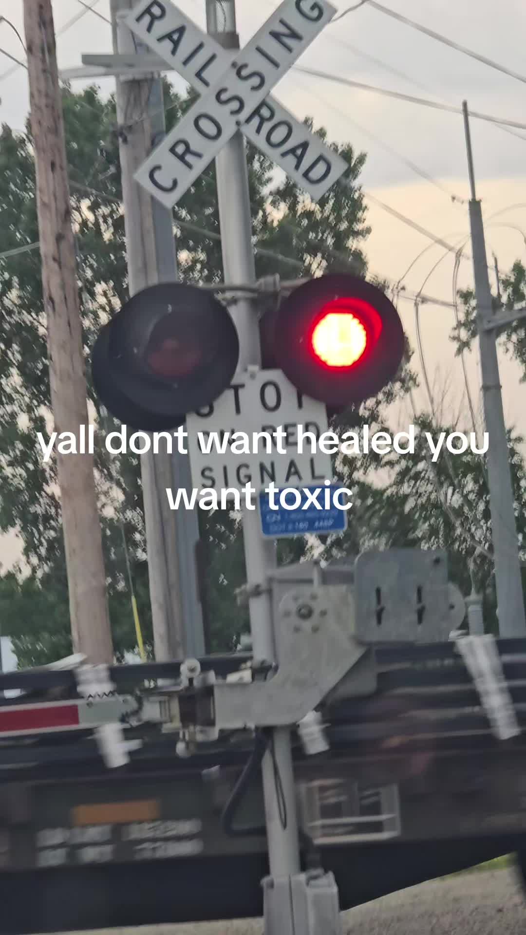 @Up Xl Bullies