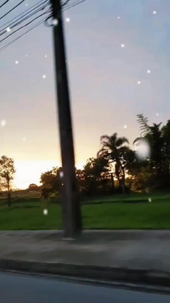 @Odete Araujo