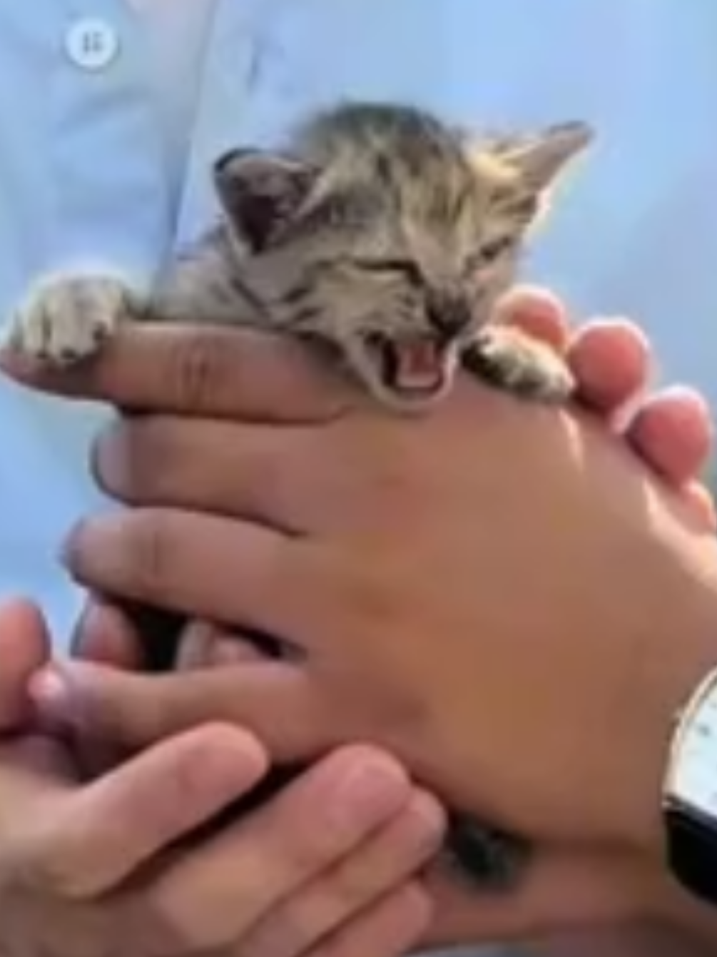 @𝐷𝓃𝓂𝒾𝑒𝓇𝒯𝒻𝑜_૮₍ ˃ ⤙ ˂ ₎ა