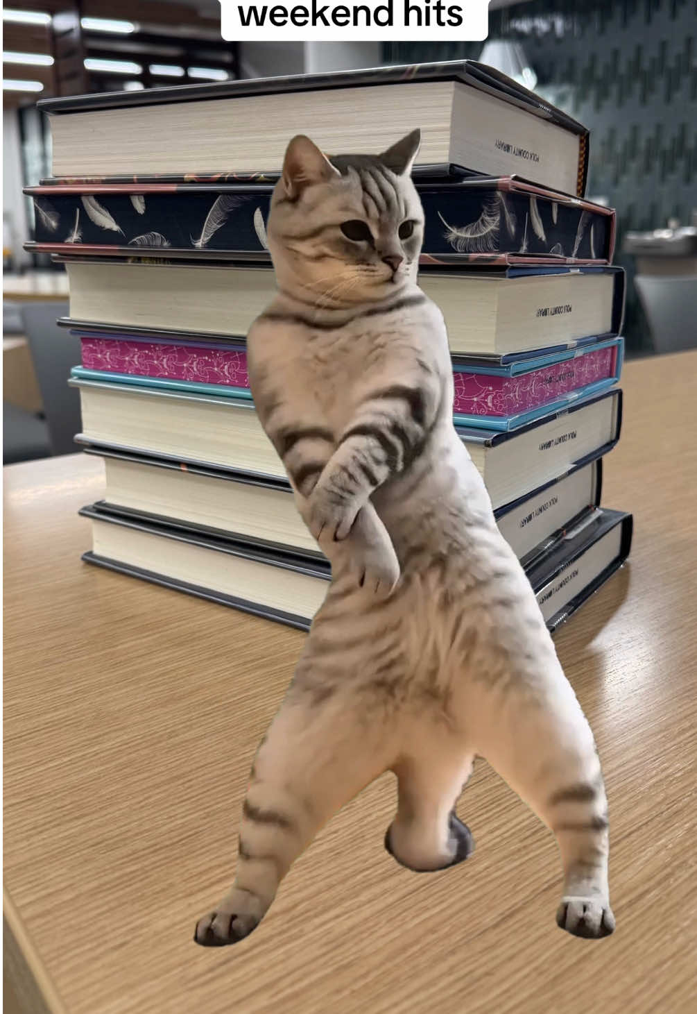 @polkcolibrary