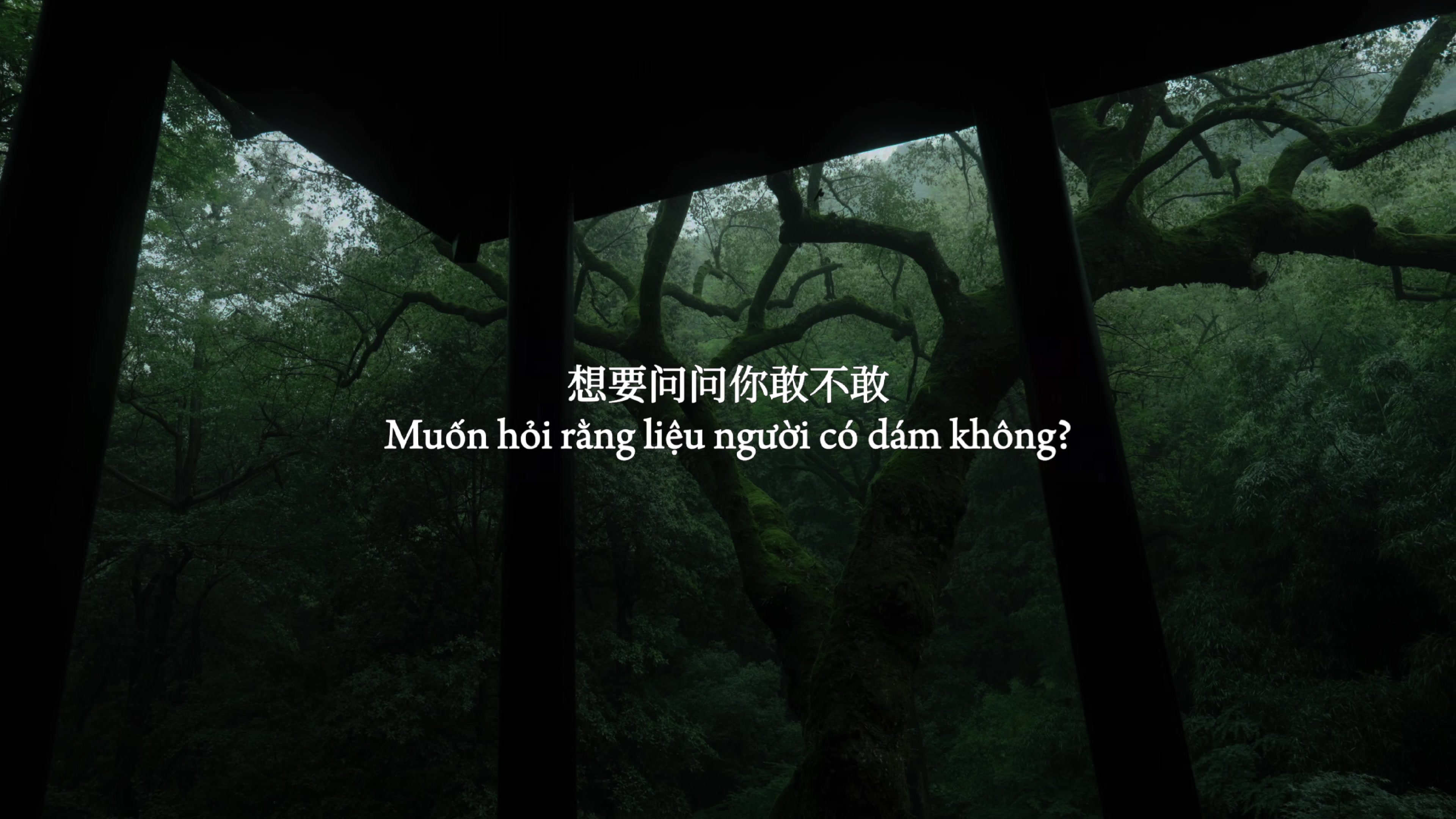 @𝒐 𝒅𝒂𝒚 𝒄𝒐 𝒏𝒉𝒂𝒄