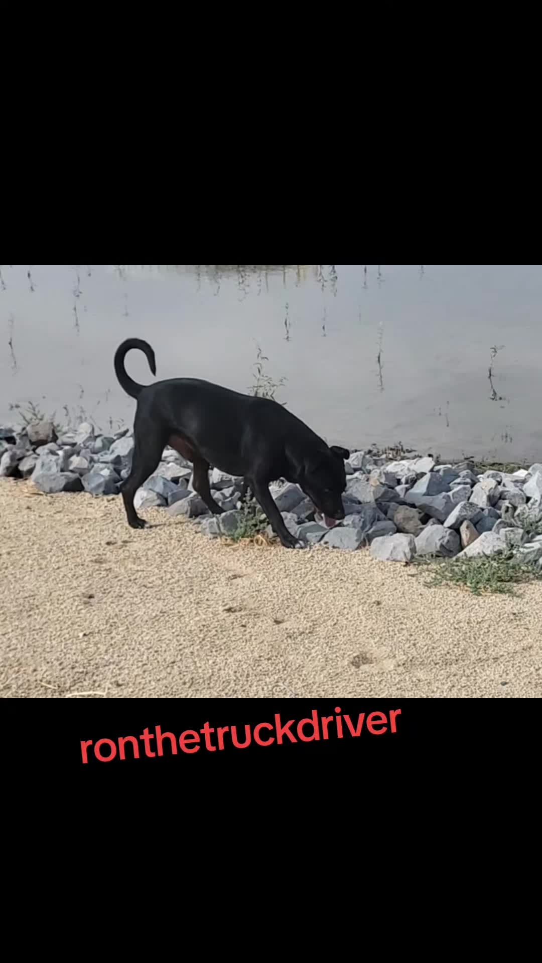 @ronthetruckdriver