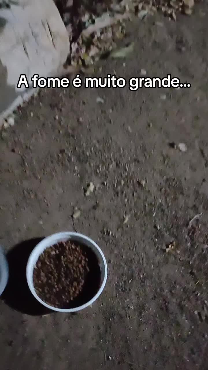 @Amante da natureza