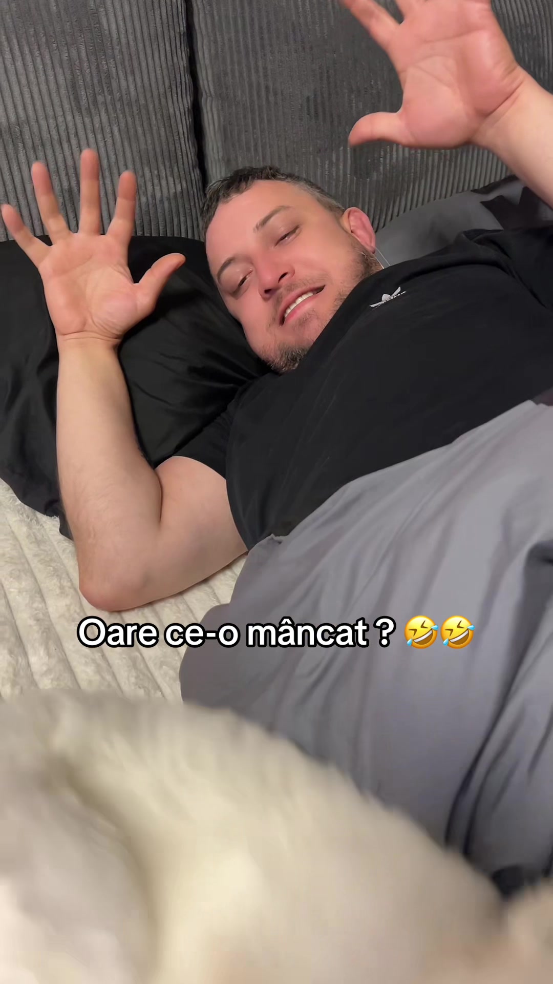 @AnaMaria