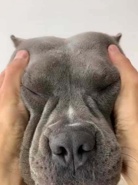 @uxifnfsiyyn