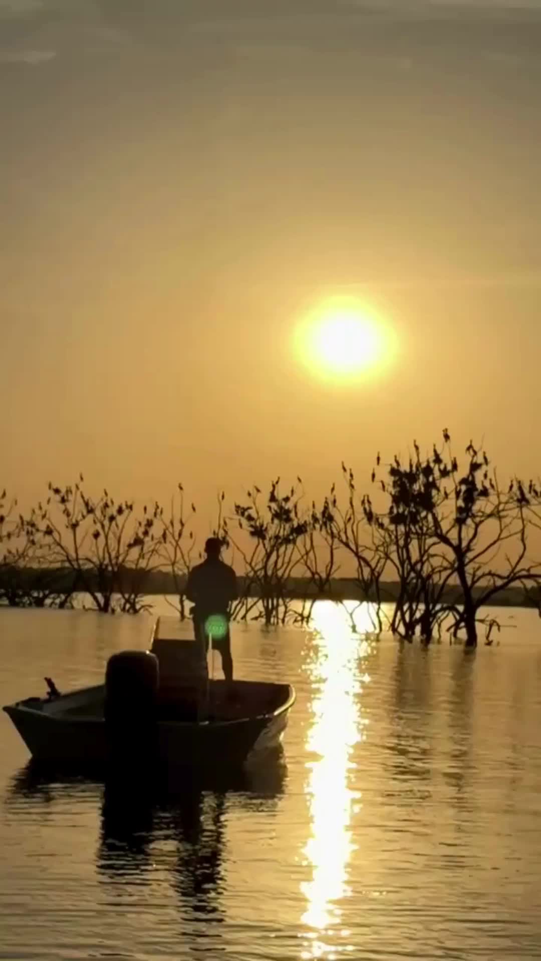 @Lowe Boats