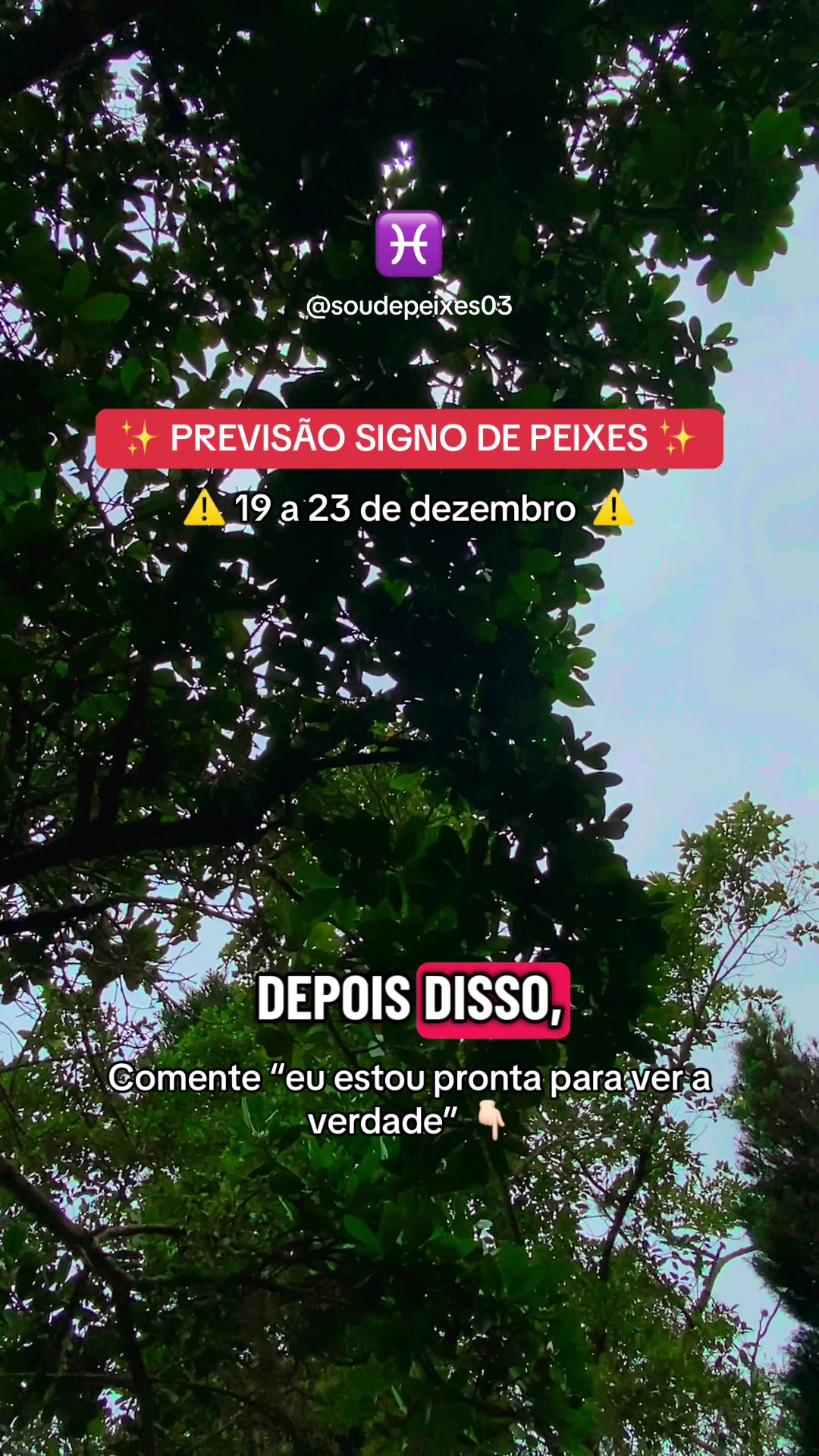 @soudepeixes